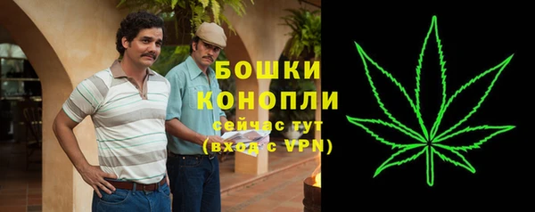 шишки Куйбышев