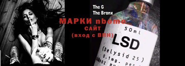 шишки Куйбышев