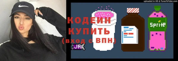 шишки Куйбышев