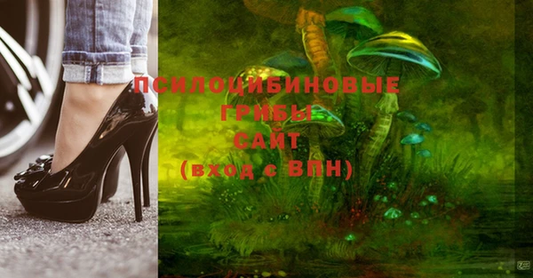 шишки Куйбышев