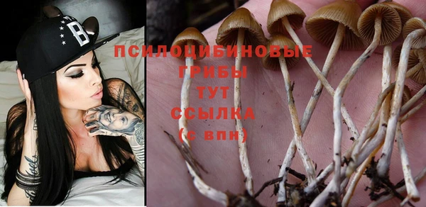 шишки Куйбышев