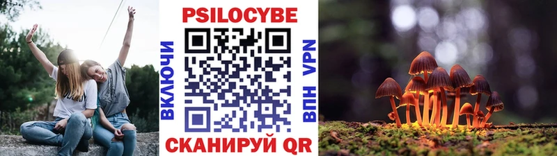 Псилоцибиновые грибы Psilocybine cubensis  Ужур 